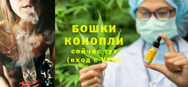 сатива Семёнов