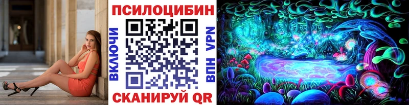 hydra вход Болотное Псилоцибиновые грибы ЛСД купить наркоту